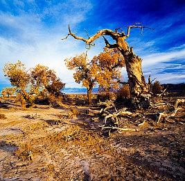 《生化危机8》吸血鬼夫人太大 DLC将她缩小以供游玩