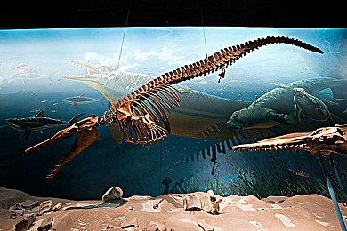 《燕云十六声》优化动向：持续减负 诸多功能将实装