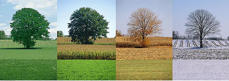 吉田直树希望《最终幻想14》能登陆任天堂新主机