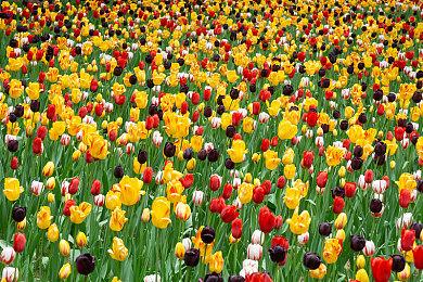 《噩梦骑士》高清复刻版将于4月登录NS 本月底开启预购